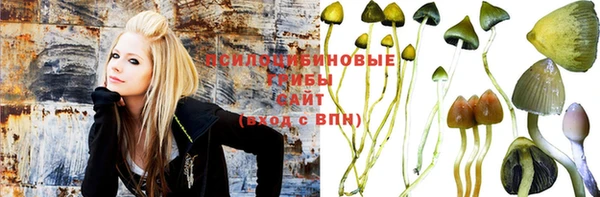 спиды Алексин