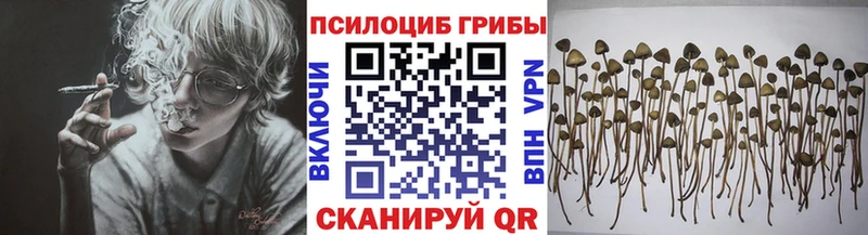 ссылка на мегу Арамиль Псилоцибиновые грибы мицелий